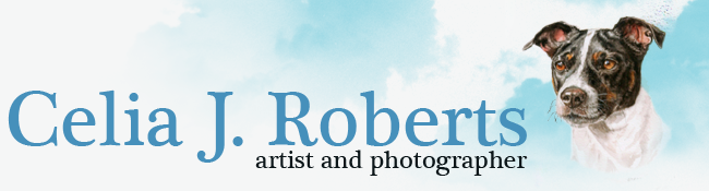 Celia J Roberts Water Colour Paintings, Artist and Photographer