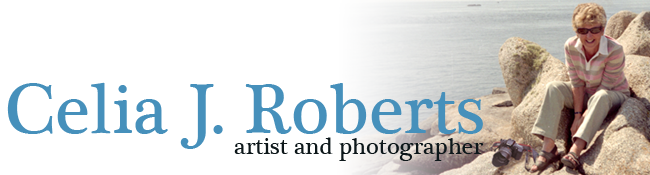 Celia J Roberts - Artist and Photographer